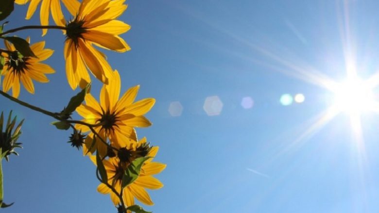  Temperatura deri 41 gradë   njihuni me parashikimin e detajuar të motit për Maqedoninë e Veriut