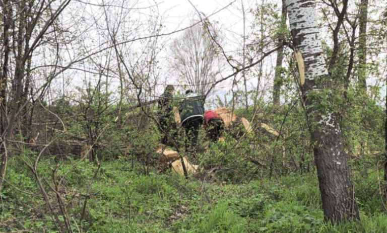 Tetë bomba dore kashikara në Bogovinë të Tetovës