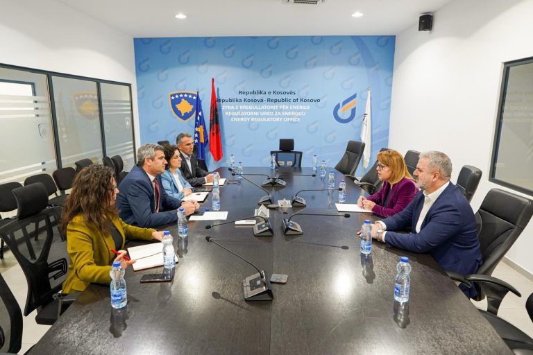 LDK-ja dorëzon kërkesën e deputetëve për anulimin e vendimit për rritjen e çmimit të rrymës