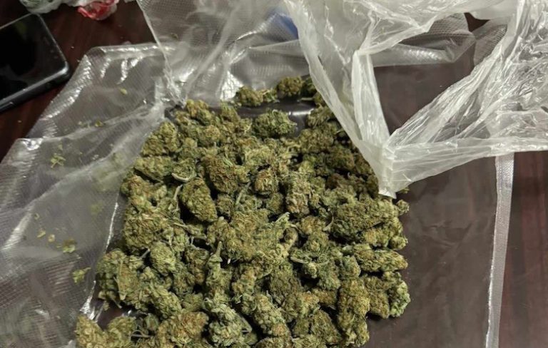 Marihuana është droga më e përdorur në RMV