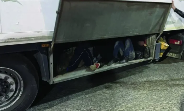 Kapen emigrantë në një kamion me targa Kosove